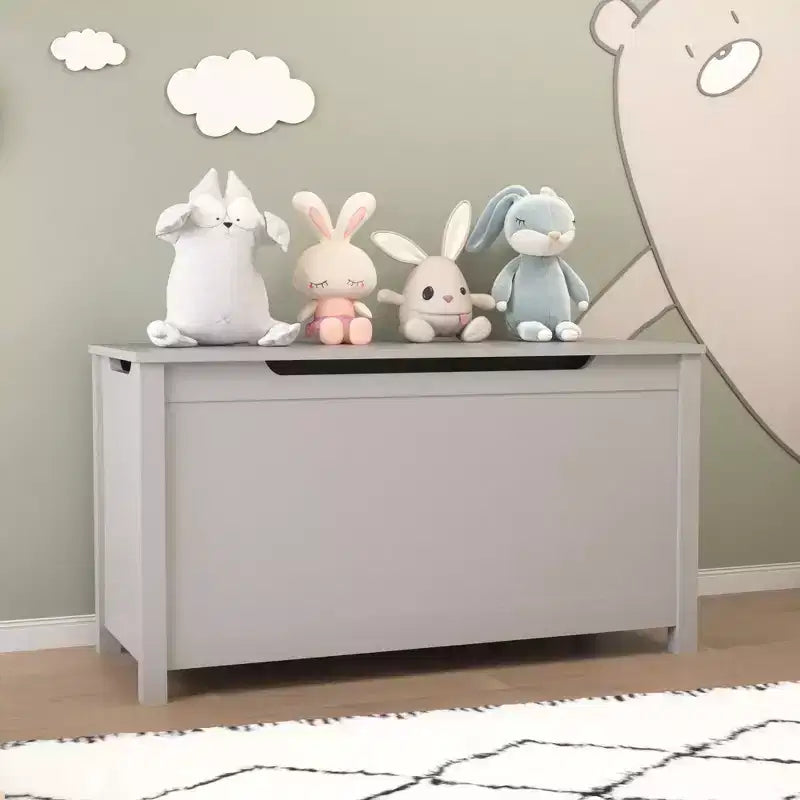 Contenitore portagiochi in legno in stile moderno per bambini, con coperchio incernierato di sicurezza, adatto a bambini dai 2 anni in su (Grigio)
